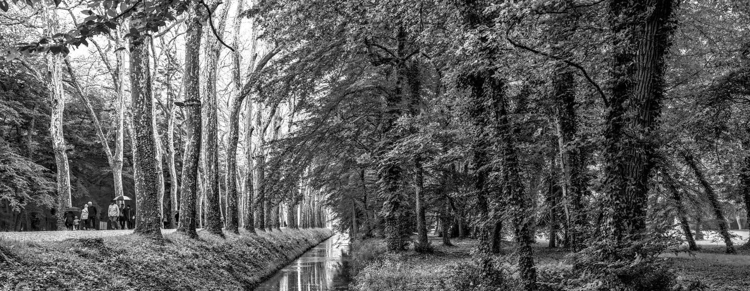 Le vallon boisé du parc de Procé.