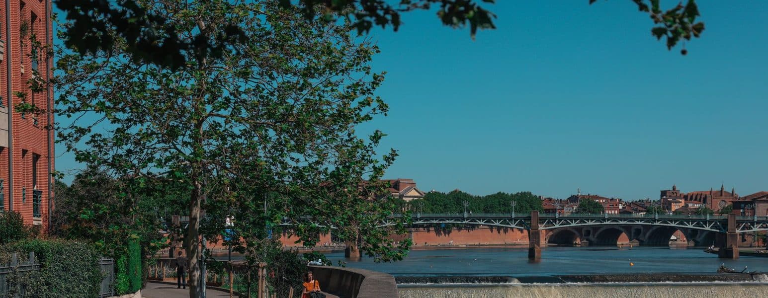 La Garonne et le Pont Neuf à Toulouse.